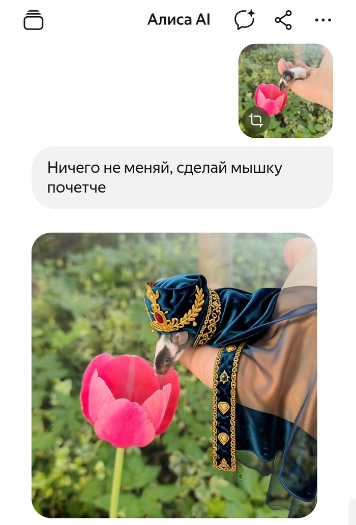 ������ ������ ���� ��� ������ ����))