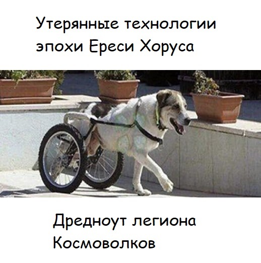 �����-�������...