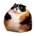 KnyazLiven