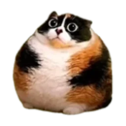KnyazLiven