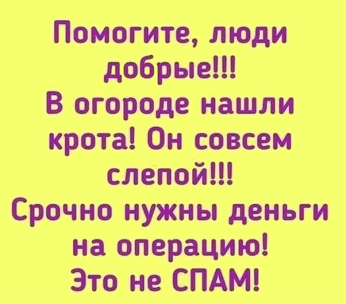 ����� �� ���� ��������� ����