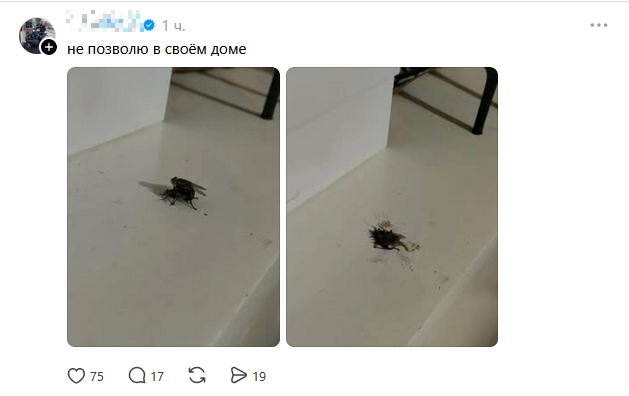 �� � ��� �����!