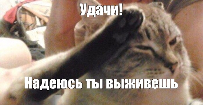 Непереносимость отношача