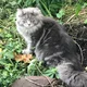 ����� ����� ������ ���� �����������