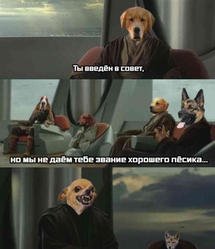 Нехороший мальчик