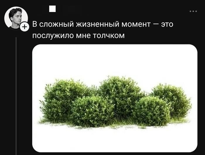 �� ���� � ����