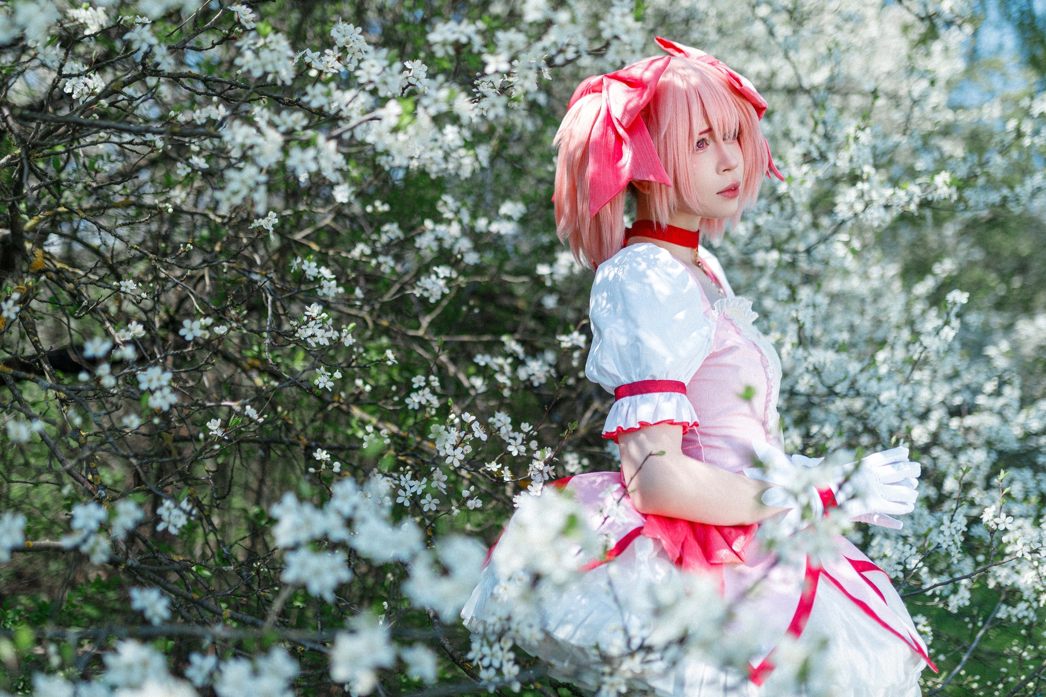 Madoka cosplay by ezzechka - Series My Cosplays
, My, Girls, Cosplay, Anime, PHOTOSESSION, Mahou Shoujo Madoka Magica, Cosplayers, Professional photo shoot, VKontakte (link)