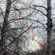 ����� ����� ������ ���� �����������