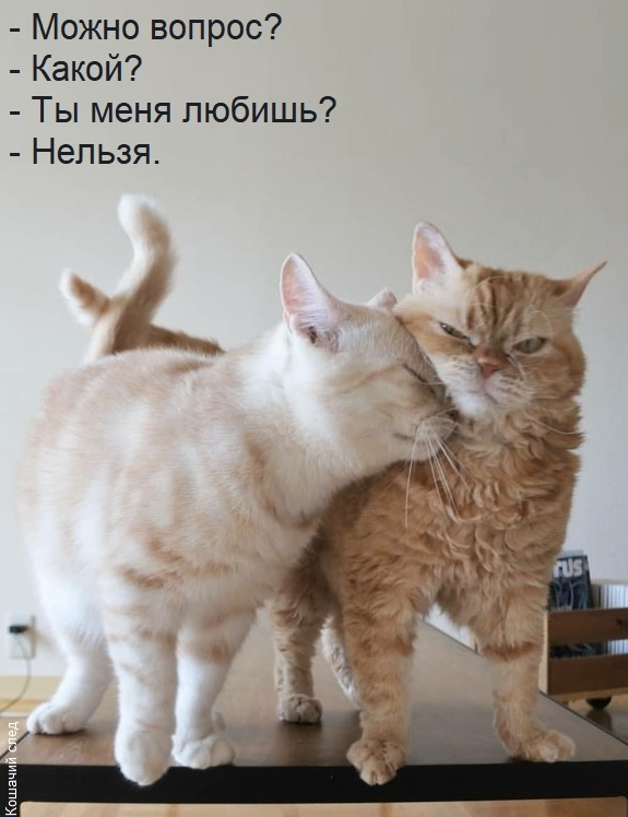 ����� ������?