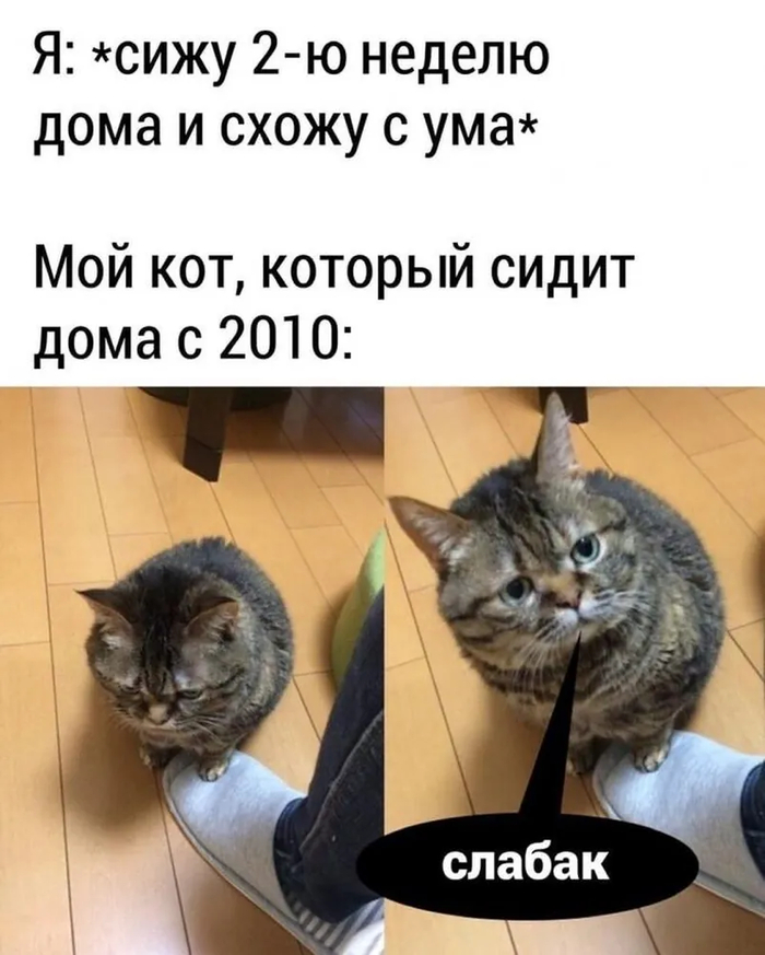 ������ �����������