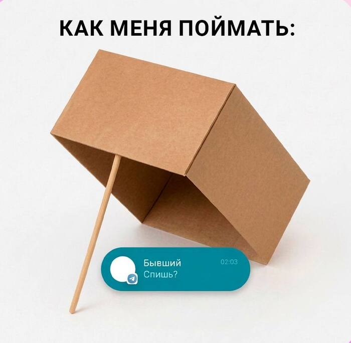 ����� ������� �����: