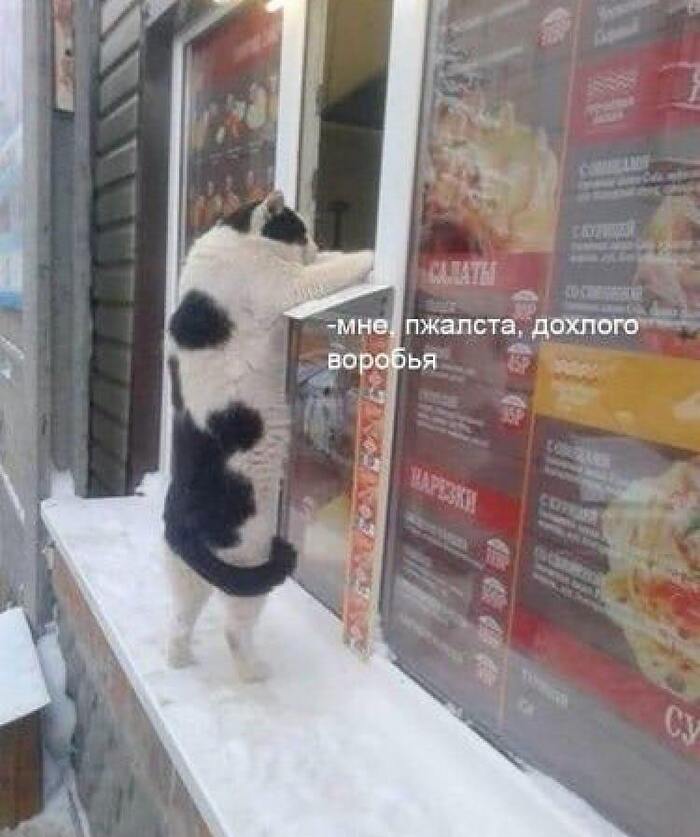 � ������