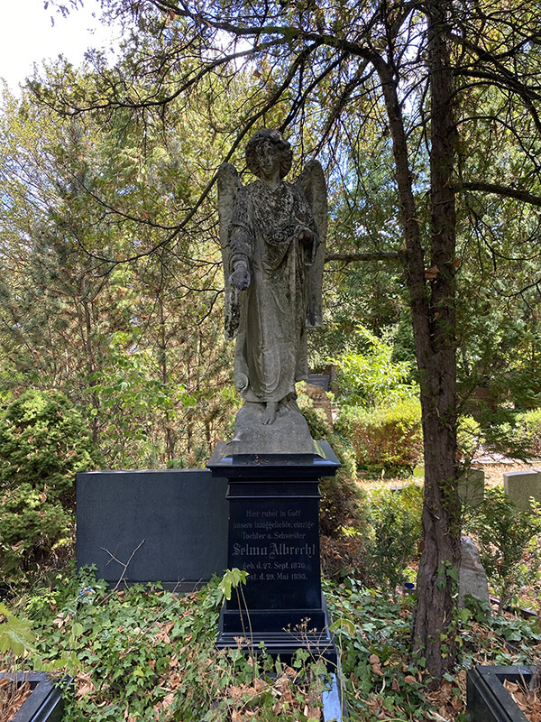 ����: nirpez