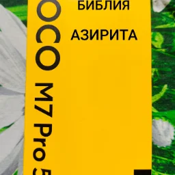 user11874466