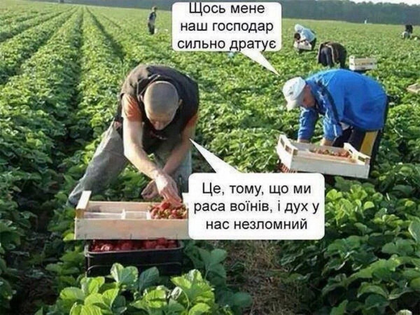 ���� ������� �� ����, �� ���� ��� ������� �����?