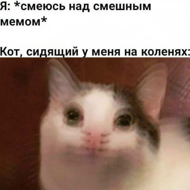 ~~~��