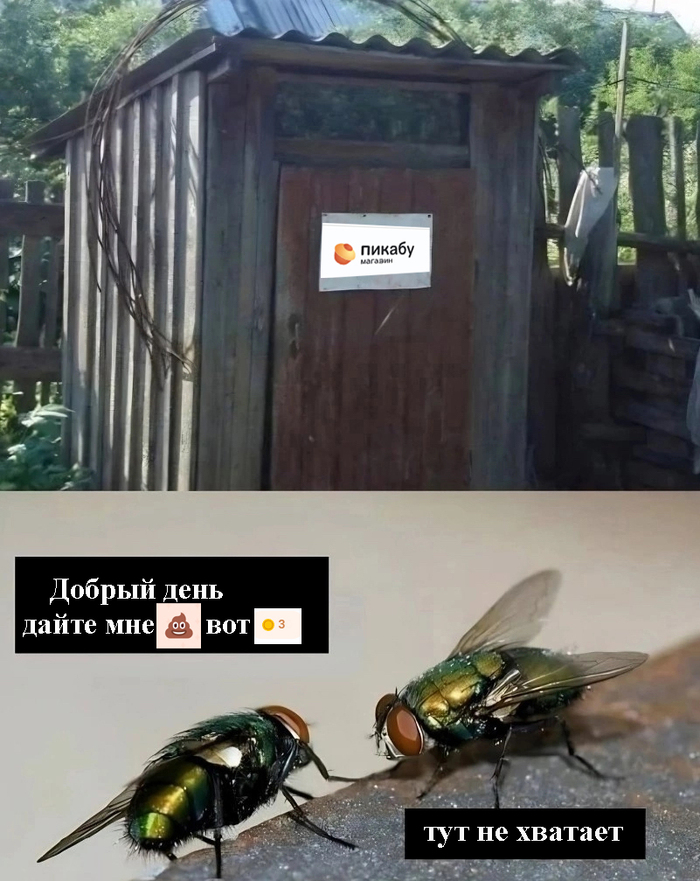������ � ����� �� ���������