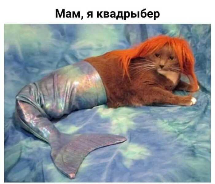 Квадрыбер