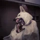 Аватар пользователя krtweet