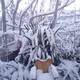 Аватар пользователя user5052245