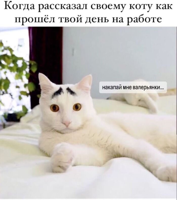 � ��� ������ �� ������ �� ������?))