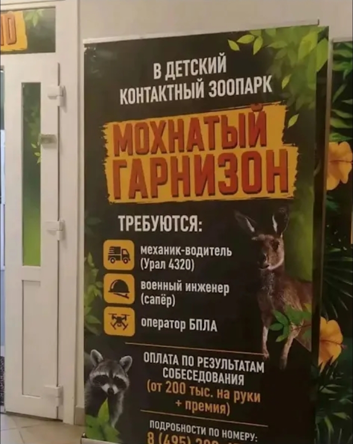 ����� ����?