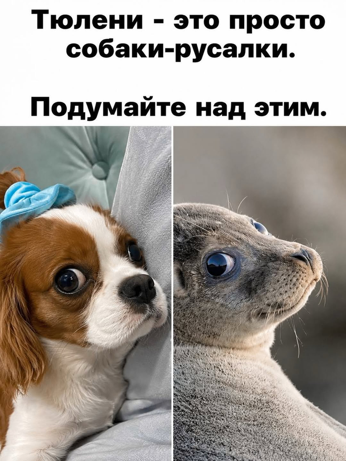 ������ �� ������