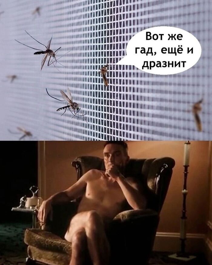 ������ � ����?