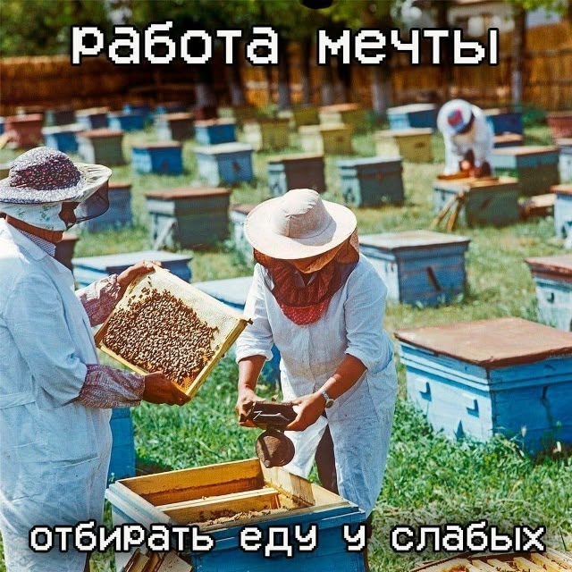 Работы мечты