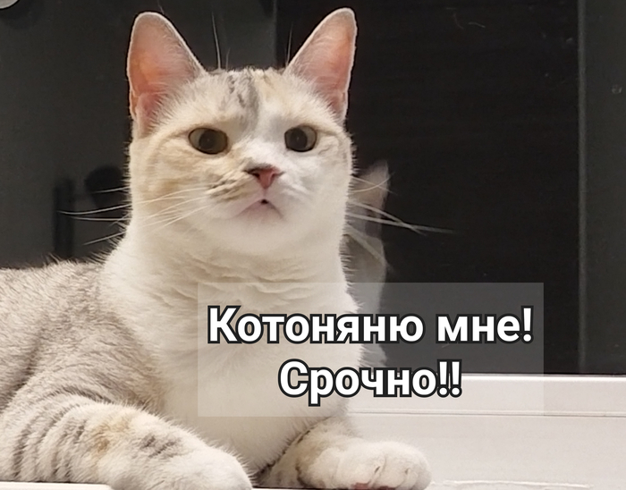 � - ��������. ��������� �������
