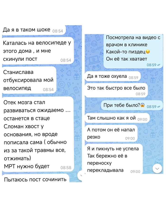 �������, ��� ������� ���� �� ��, ��� � �������� ����� ����� ������.