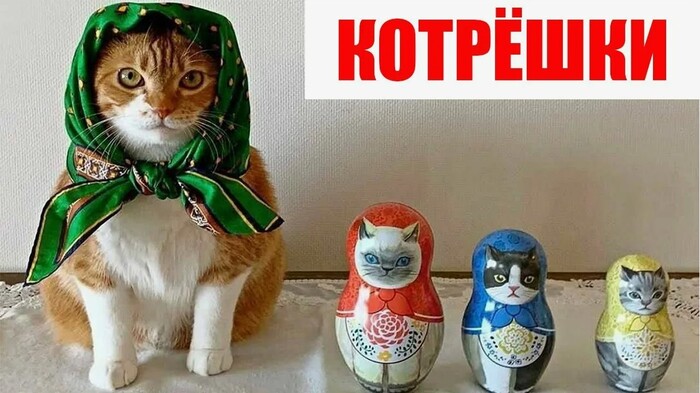 ��� ��� �����?))))