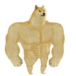 DbkD