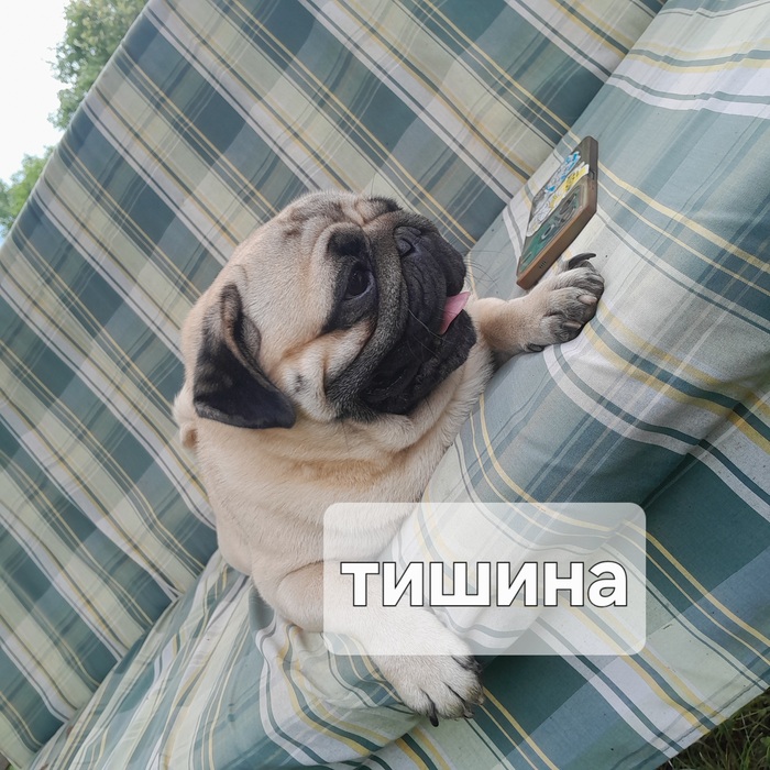Побыть в тишине...