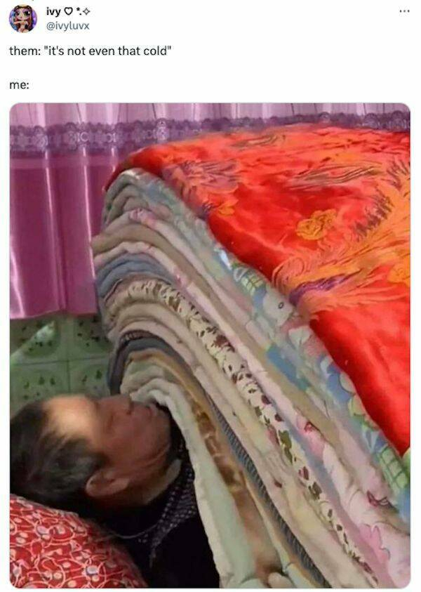� ���������