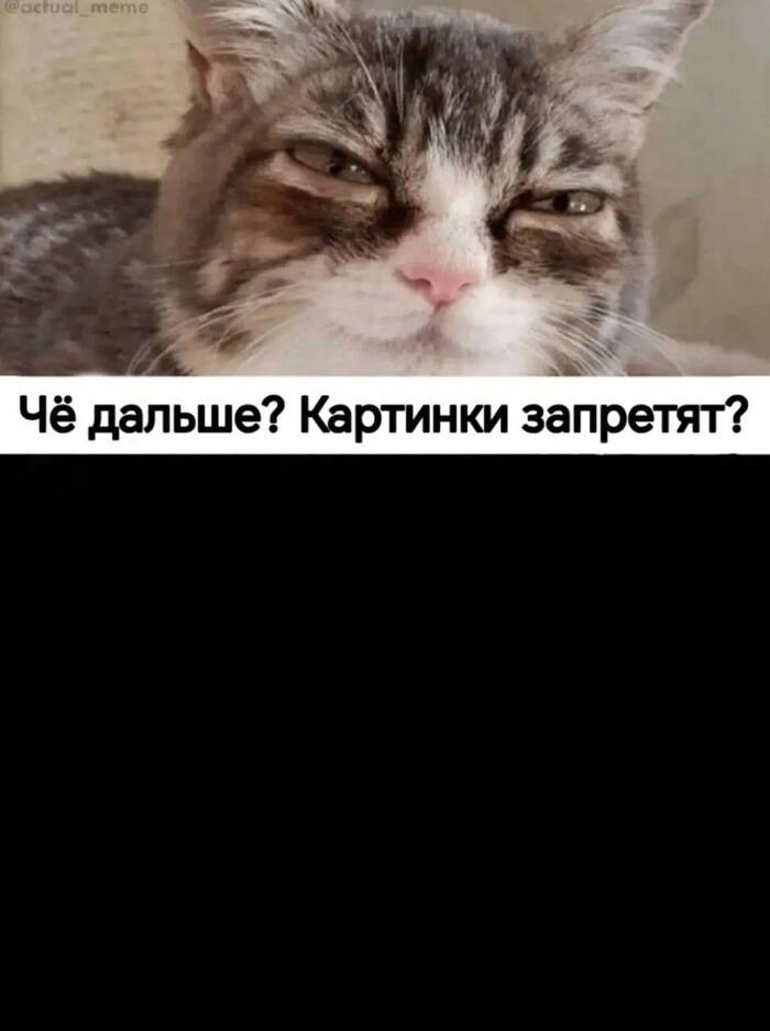 �� ����� ����� ���� �� �� ����������