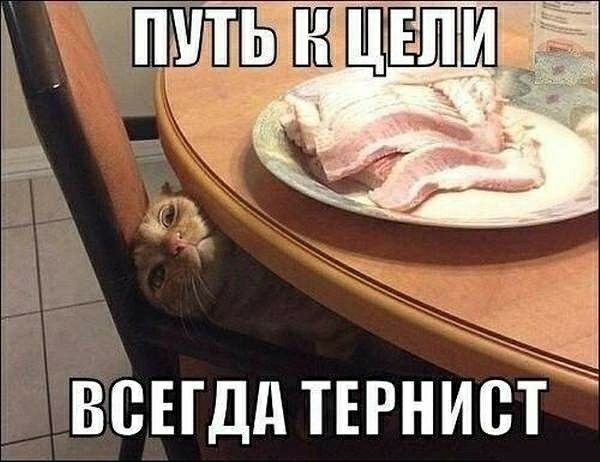 ������ �����: ������ ������ ������� �� �������� � ��� � ���� ������