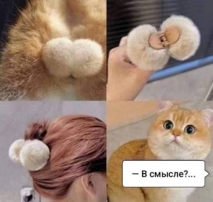 ������� �� ����������� ��� ������ ����