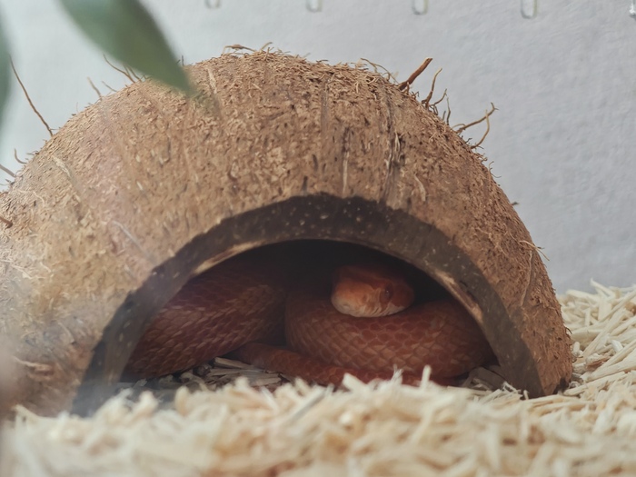 ��� �������� ����� ����. ����� ���� ���� ������ � ���� ������ � ������������ ������.