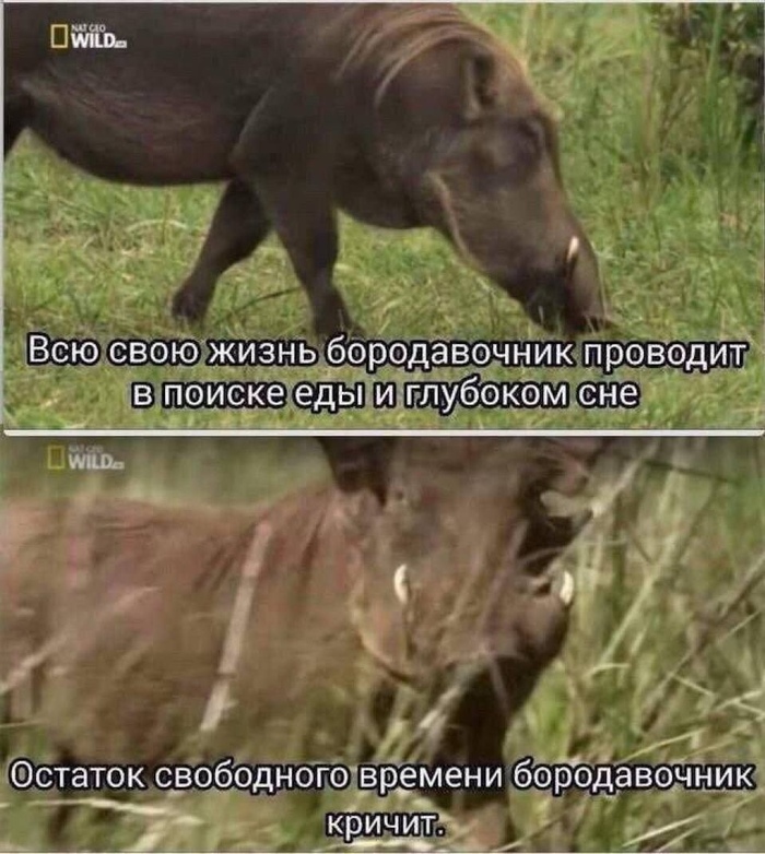 � ���� ������ ���� ������������...