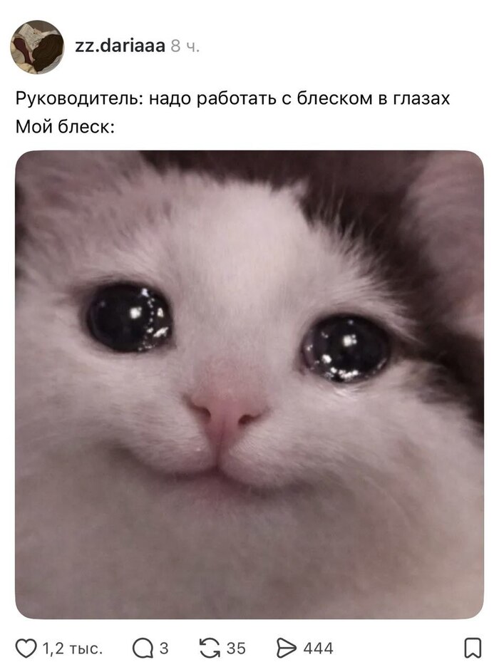 Когда хорошо справляешься с поставленной задачей, но есть нюанс
