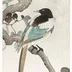 Soroka.Bird