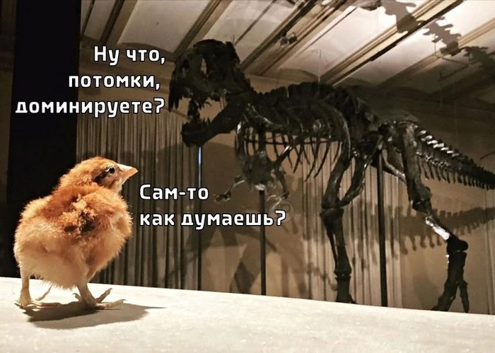 DED