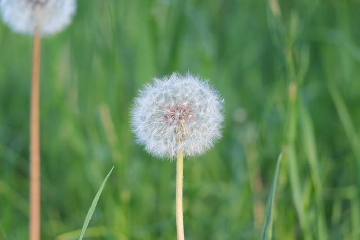 Fujifilm X-E1 + XF Zoom 18-55
