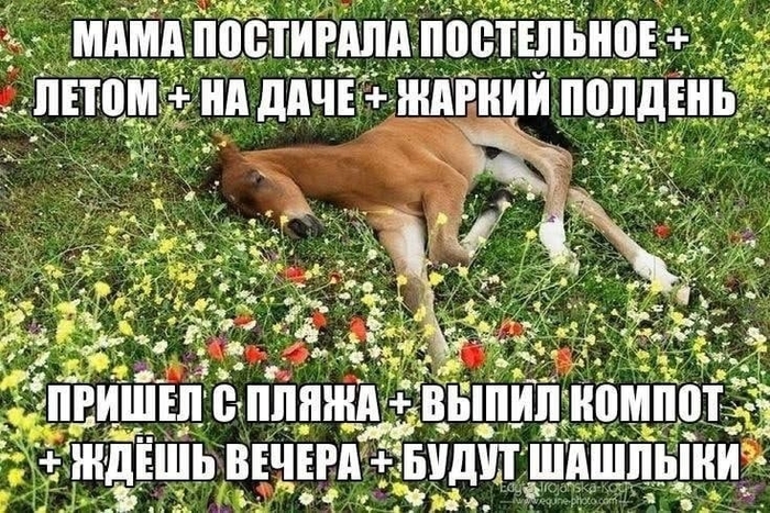 Летноватистое
