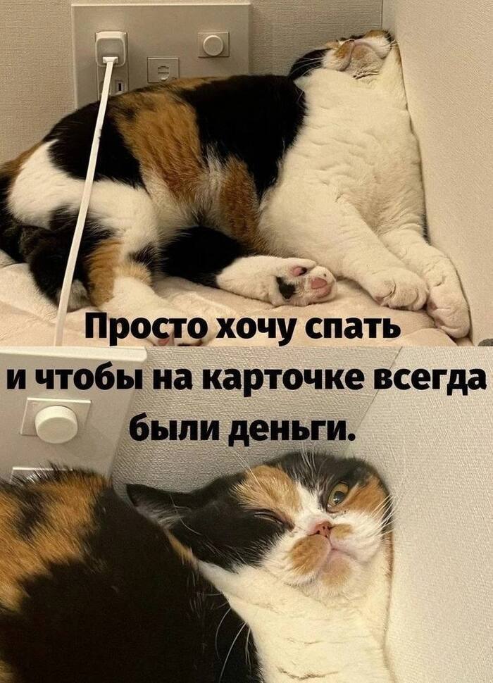 � ���� ��������