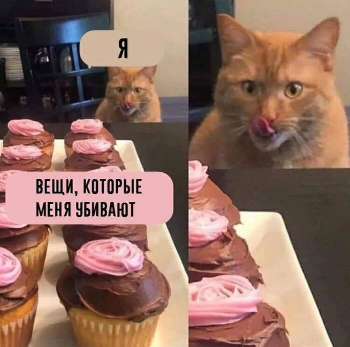 Ммм,начинаем новую жизнь с понедельника?
