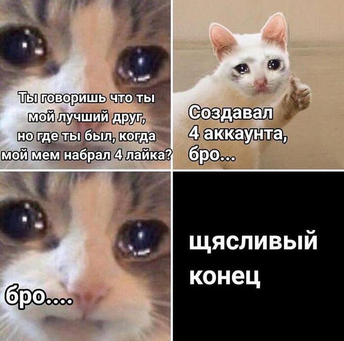 Настоящий друган