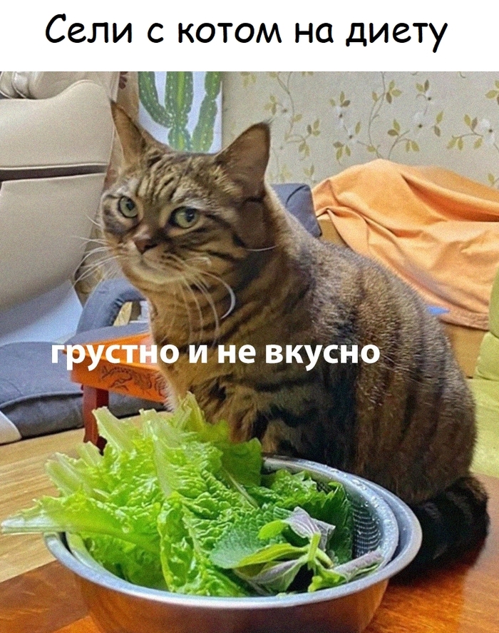 �� ������ � �����