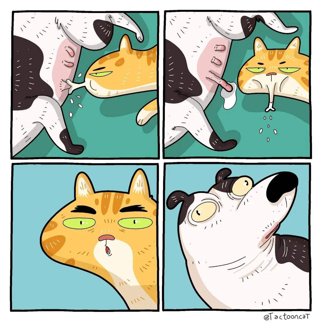 Porn Picture